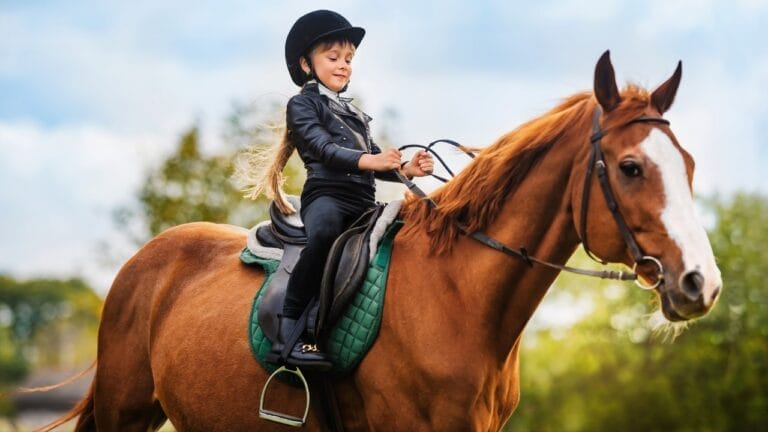 25 Perfect Horse Breeds for Kids Starting Out 5 25 Perfect Horse Breeds for Kids Starting Out - girl riding horse ss2274643409