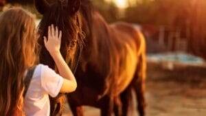 15 of the Best Horse Breeds for Equine Therapy 1 15 of the Best Horse Breeds for Equine Therapy - girl therapy horse ss1079896616