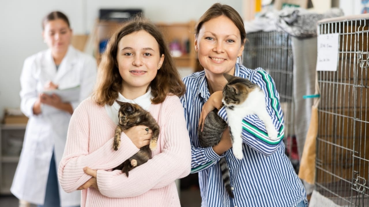 Cats Aren’t Just Cute—Here Are 20 Life-Changing Benefits - girl and mother adopting cat ss2239780185