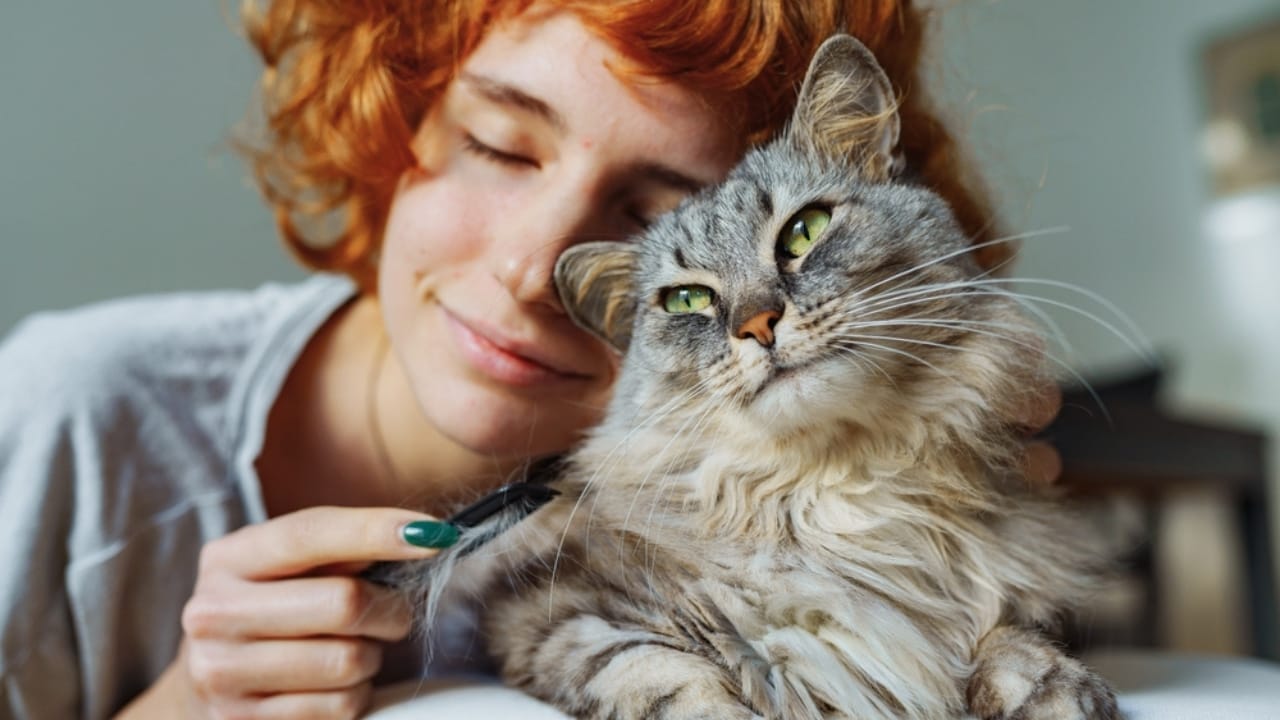 Does Your Cat Have a Favorite Family Member? Here’s Why 7 Does Your Cat Have a Favorite Family Member? Here’s Why - girl with cat ss2409171419
