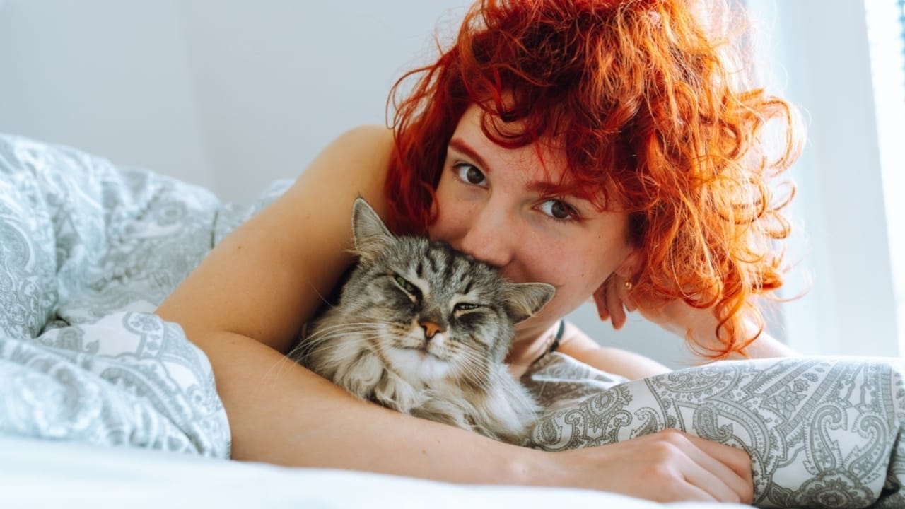 Why Cats Rule: 24 Reasons They're Better Than Dogs - girl with maine coon cat ss2454331187