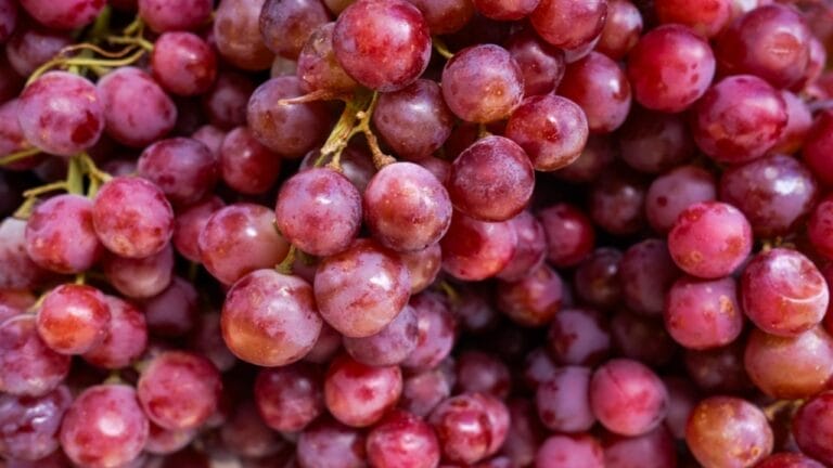 Keep Your Grapes Fresh for a Month Using This 5-Step Method 4 Keep Your Grapes Fresh for a Month Using This 5-Step Method - grapes zoomed ss2457077551