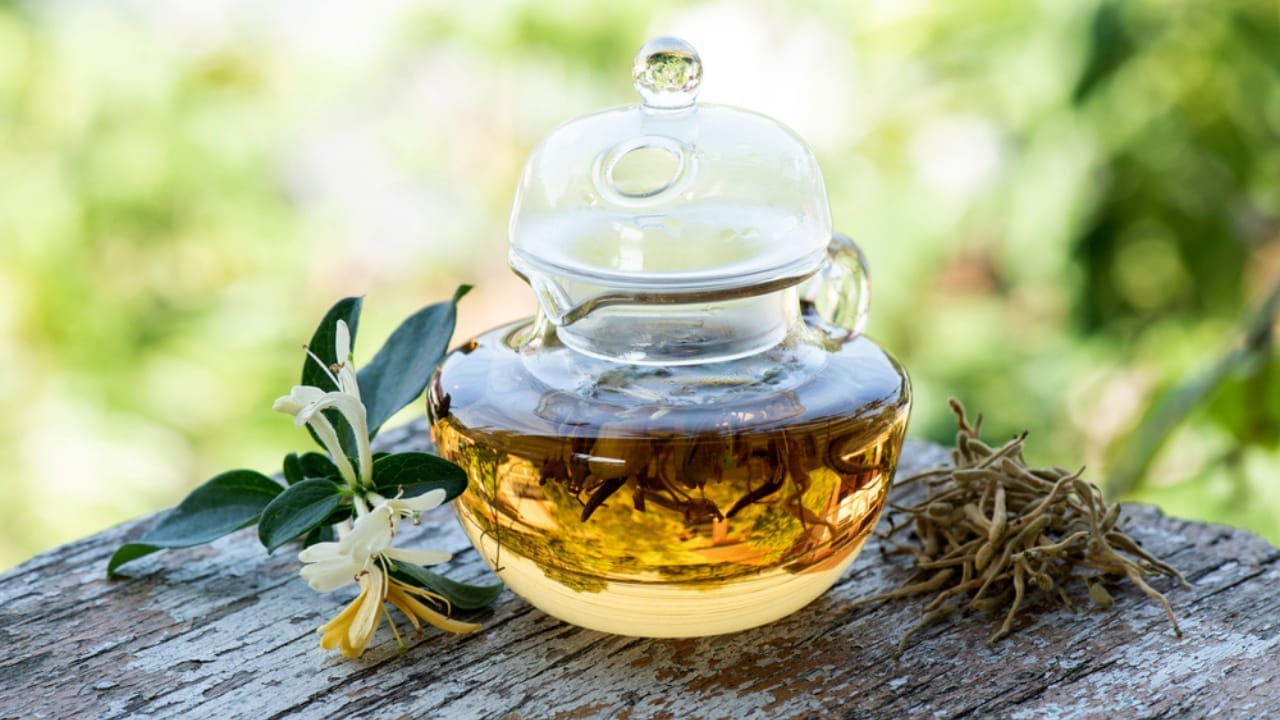 The Power of Honeysuckle: Exploring Its Edible & Medicinal Potential 6 The Power of Honeysuckle: Exploring Its Edible & Medicinal Potential - honeysuckle flower tea ss1884964684