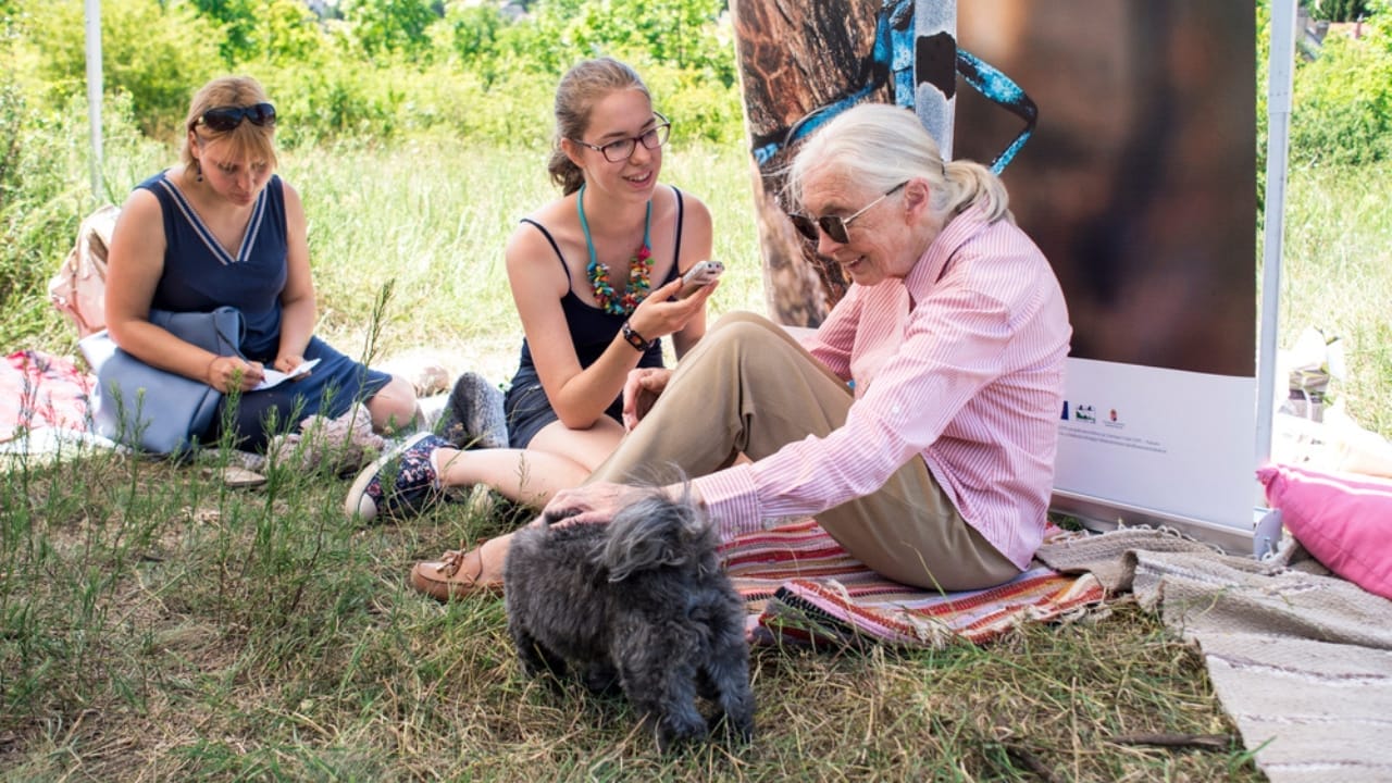 How Jane Goodall’s Early Bond with a Dog Influenced Her Views on Animals 2 How Jane Goodall’s Early Bond with a Dog Influenced Her Views on Animals - jane goodall ss1736563121