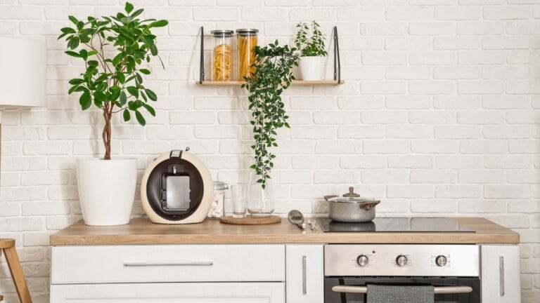 12 Kitchen-Friendly Houseplants to Add a Touch of Nature Indoors 7 12 Kitchen-Friendly Houseplants to Add a Touch of Nature Indoors - kitchen houseplants ss2478083389