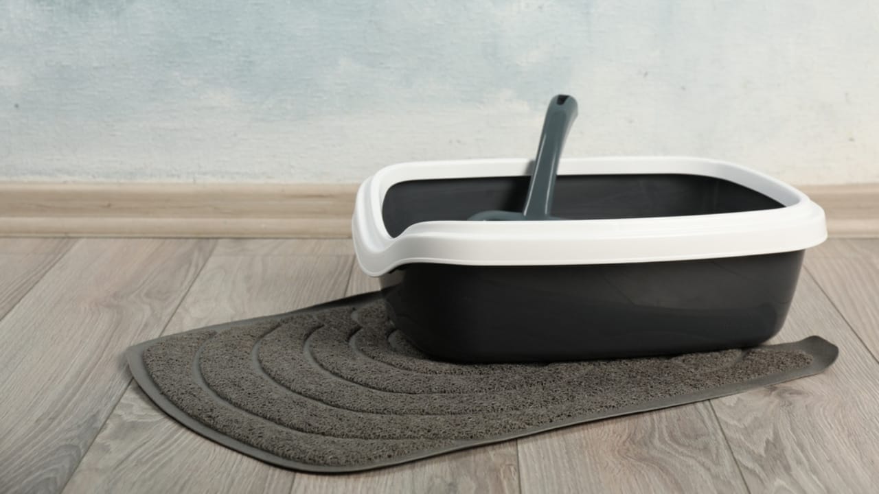 10 Smart Ways to Eliminate Cat Litter Odor from Your Home 8 10 Smart Ways to Eliminate Cat Litter Odor from Your Home - litter mat dp603181456