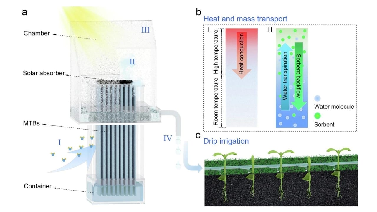 New Solar Drought-Busting Tech Extracts 3 Liters of Water Daily from Thin Air 2 New Solar Drought-Busting Tech Extracts 3 Liters of Water Daily from Thin Air - nature study 2