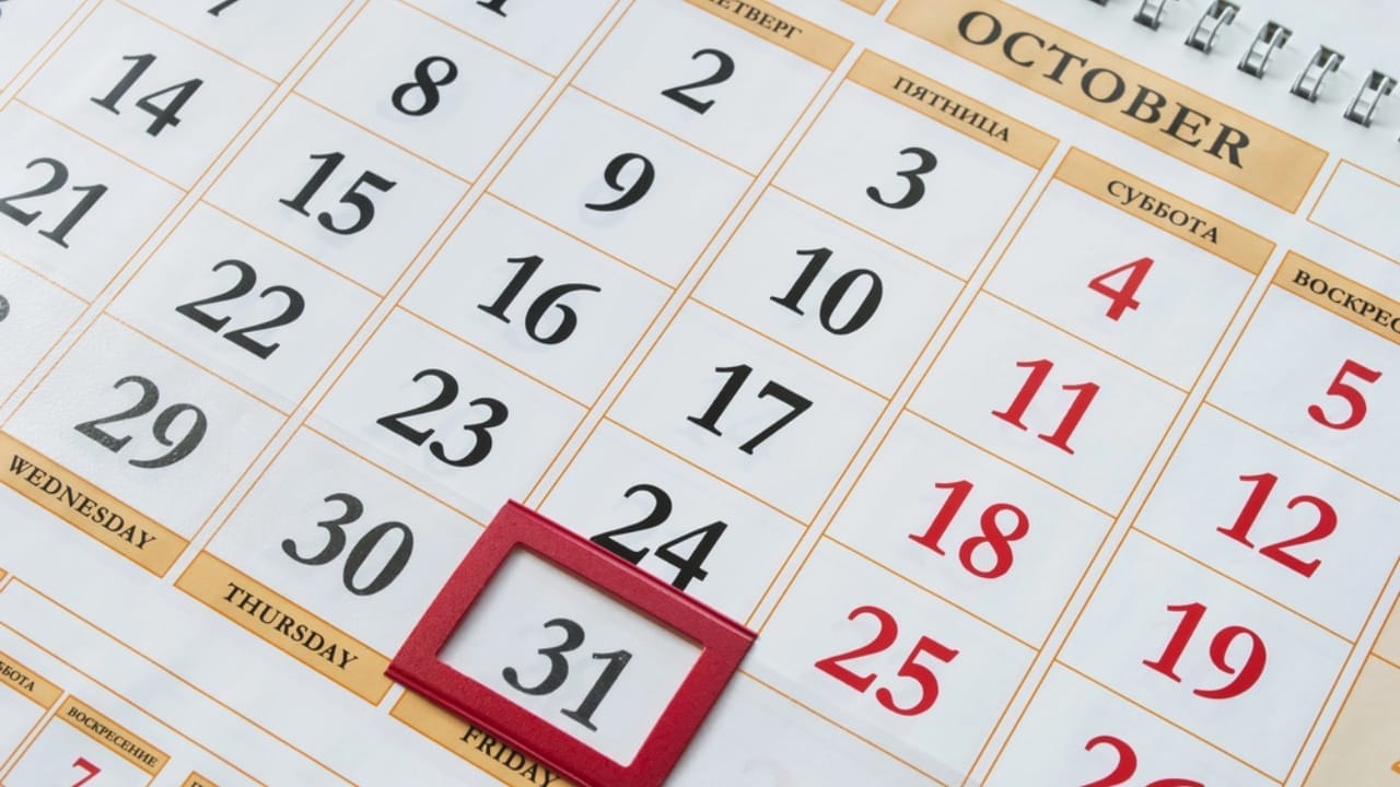 12 Heartfelt Ways to Support Someone Grieving the Loss of a Pet 12 12 Heartfelt Ways to Support Someone Grieving the Loss of a Pet - october 31 calendar dp52187825