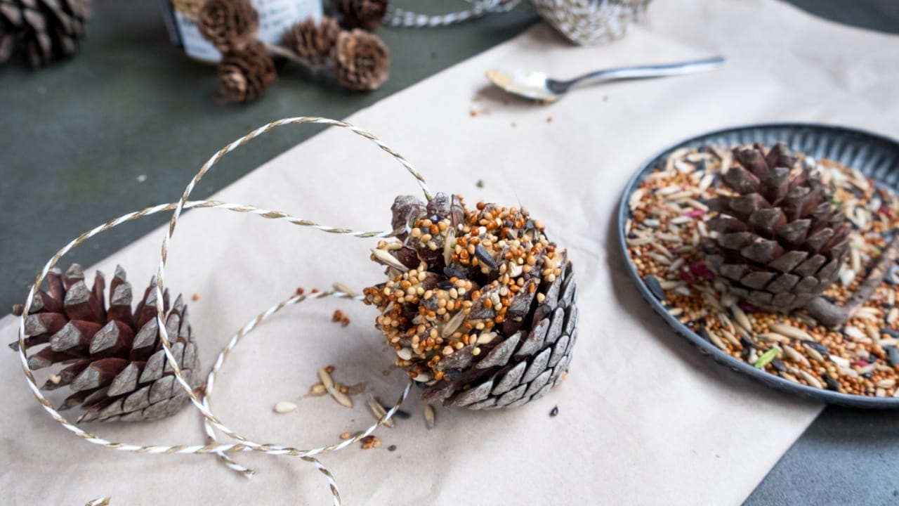 10 Creative Ways to Use Pine Cones in Your Home & Garden 5 10 Creative Ways to Use Pine Cones in Your Home & Garden - pine cone bird feeder ss1854633112