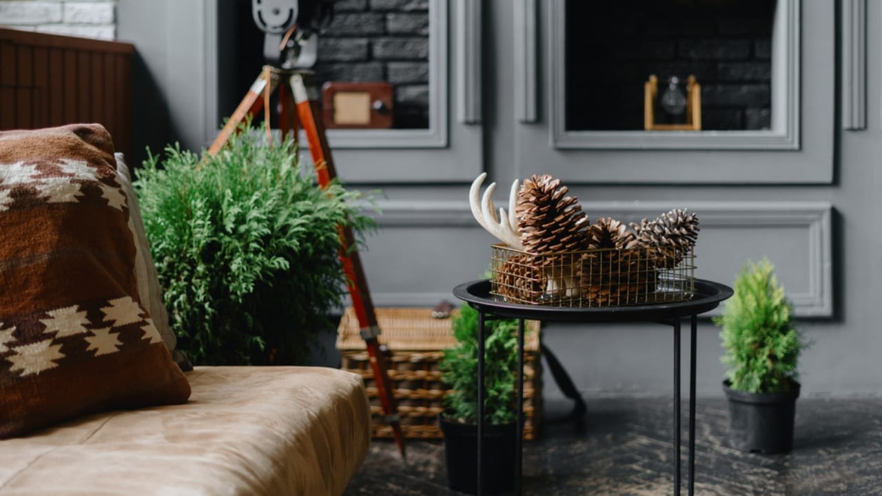8 Reasons Gardening Pros Add Pinecones to Their Planters 7 8 Reasons Gardening Pros Add Pinecones to Their Planters - pine cone on table ss1879802554