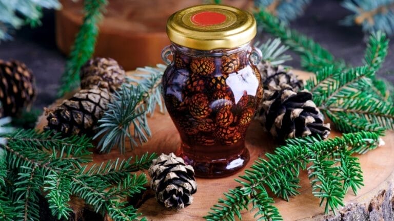 10 Creative Ways to Use Pine Cones in Your Home & Garden 8 10 Creative Ways to Use Pine Cones in Your Home & Garden - pine cone syrup jan ss2376826075