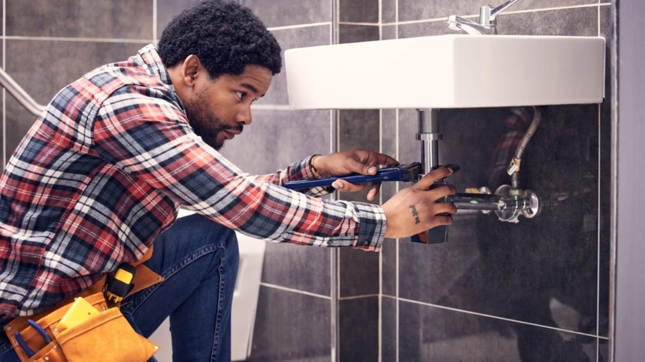 5 Pests Likely to Invade Your Drains This Fall (and How to Stop Them) 12 5 Pests Likely to Invade Your Drains This Fall (and How to Stop Them) -