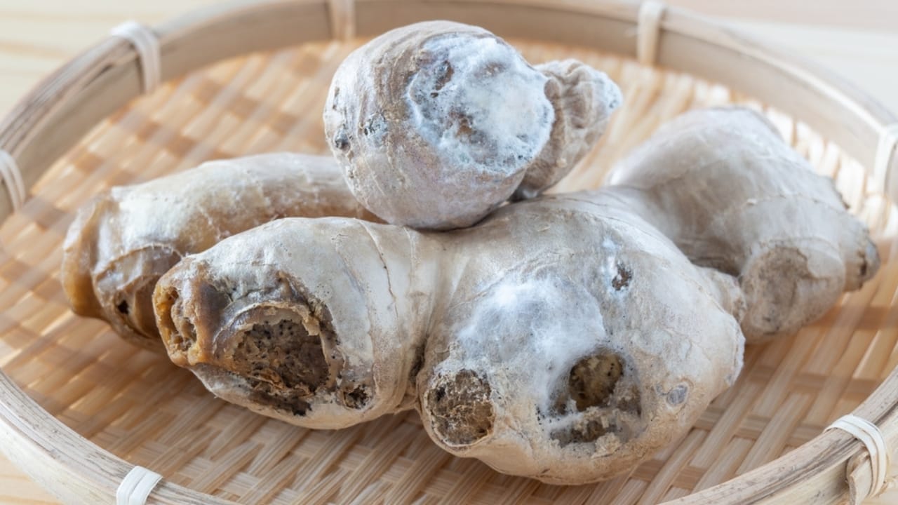 10 Kitchen Items You Need to Get Rid of Immediately - rotten ginger molds ss2155693847