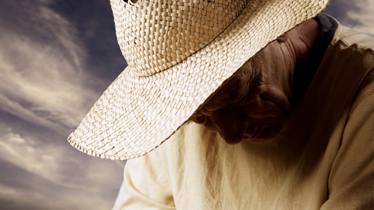 USDA Forecasts the Sharpest Decline in U.S. Farm Income in History 3 USDA Forecasts the Sharpest Decline in U.S. Farm Income in History - sad farmer dp39608873