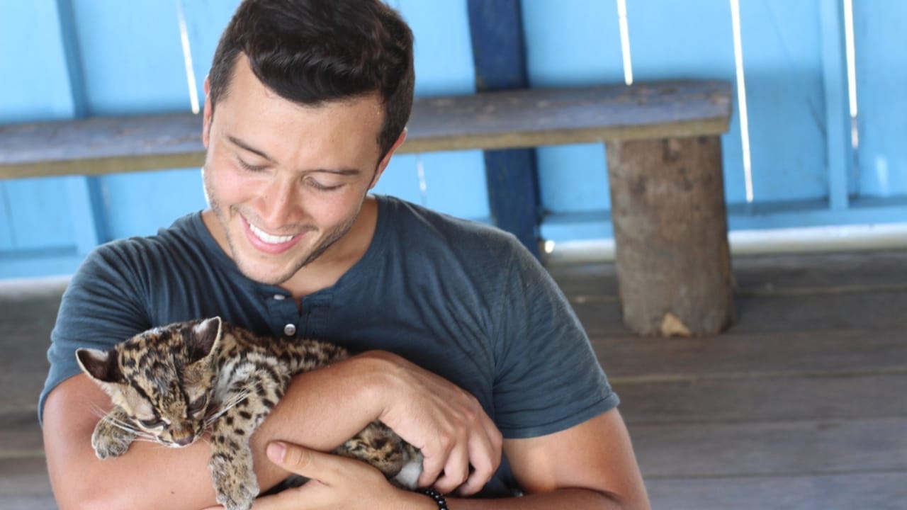 Meet the Savannah Cat: An Exotic 1980s Serval-Siamese Hybrid in Your Living Room 6 Meet the Savannah Cat: An Exotic 1980s Serval-Siamese Hybrid in Your Living Room - savannah cat pet dp332878926