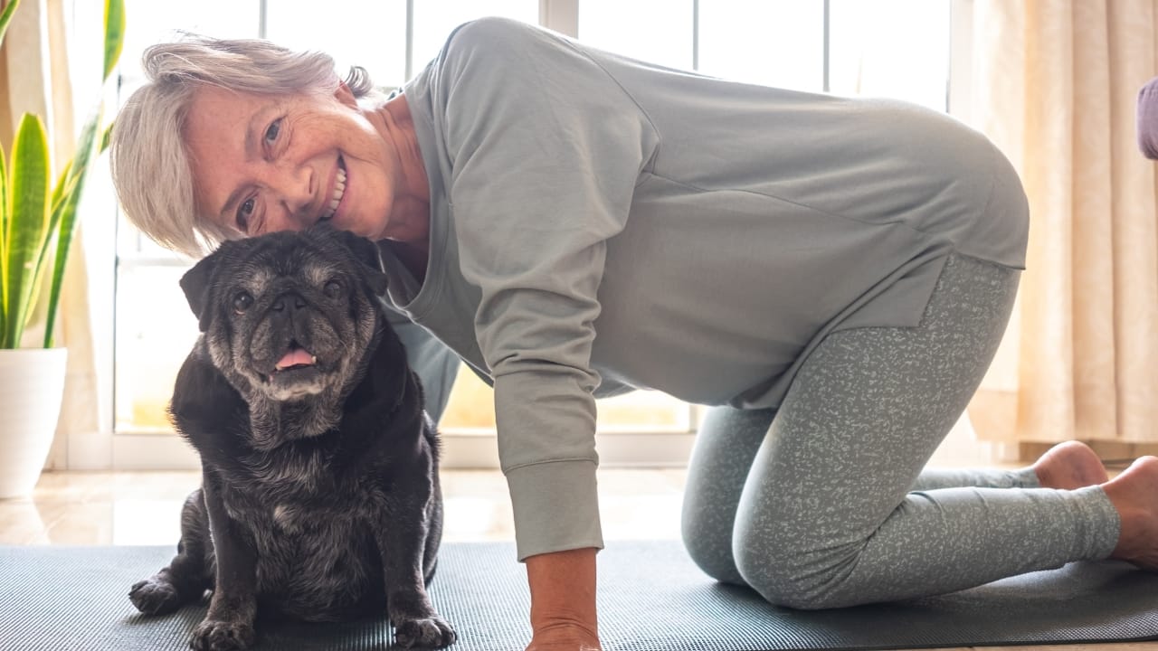 Why We Feel So Connected to Dogs: A Look at the Science of Human-Canine Relationships - senior woman pug dog ss2124401288