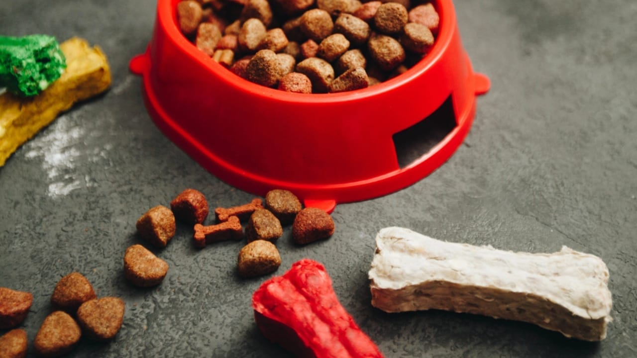 Relax Your Anxious Dog with These 15 Calming Treats 14 Relax Your Anxious Dog with These 15 Calming Treats - soft treats dp189557064