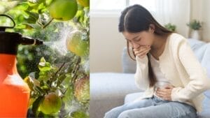 EPA's Rare Emergency Action Targets Weedkiller Threatening Unborn Babies 1 EPA's Rare Emergency Action Targets Weedkiller Threatening Unborn Babies - spraying pesticide apples ss2470500551 pregnant woman nausea ss2414029131