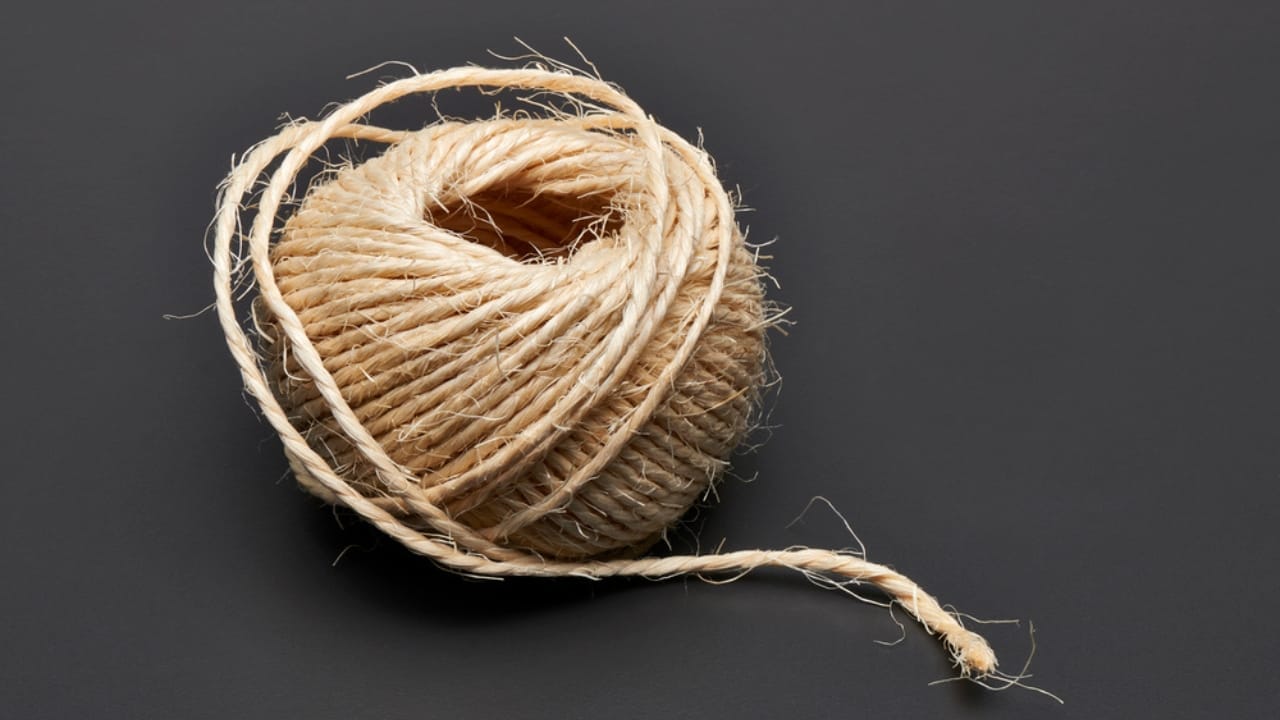 15 Household Hazards You Didn’t Know Could Harm Your Cat 5 15 Household Hazards You Didn’t Know Could Harm Your Cat - string dp137829524