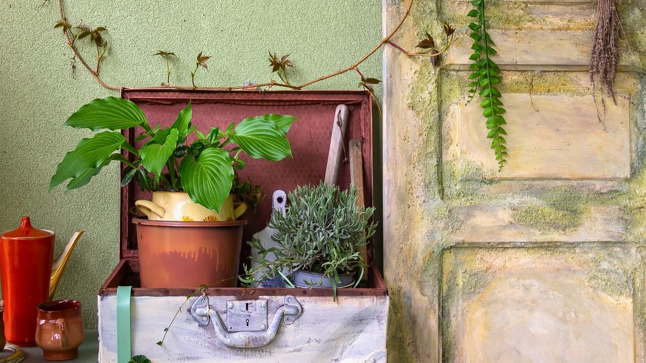 16 Unconventional Garden Containers to Spice Up Your Outdoor Space - suitcase garden flowers ss2455191631