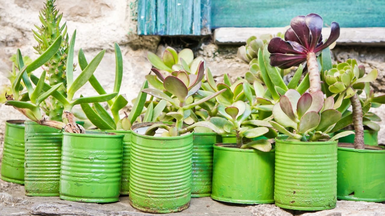 16 Unconventional Garden Containers to Spice Up Your Outdoor Space - tin can planter ss21554053