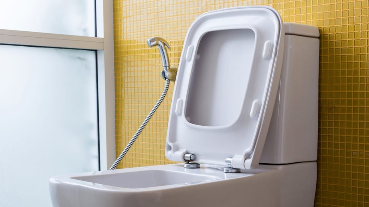 The One Simple Trick Every House Hunter Needs to Know 3 The One Simple Trick Every House Hunter Needs to Know - toilet with bidet dp104165978