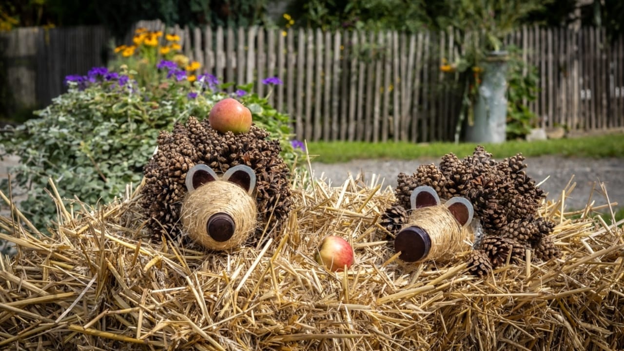 10 Creative Ways to Use Pine Cones in Your Home & Garden 10 10 Creative Ways to Use Pine Cones in Your Home & Garden - toy hedgehog made of pine cones ss2363427289