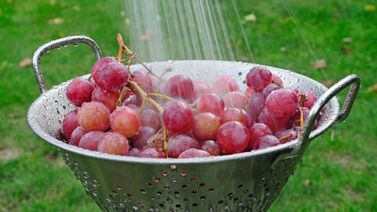 Keep Your Grapes Fresh for a Month Using This 5-Step Method - washing grapes dp11711409