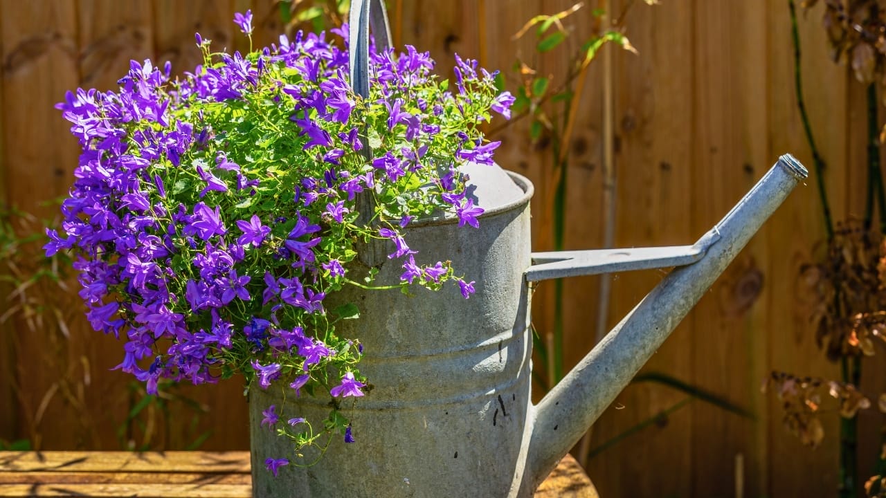 16 Unconventional Garden Containers to Spice Up Your Outdoor Space - watering can planter ss1744023845