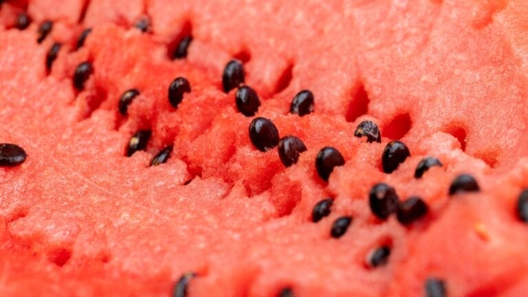 How to Save Watermelon Seeds for a Bountiful Harvest Next Season - watermelon seeds close up ss2395914959