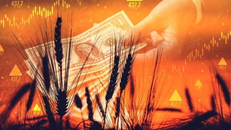 USDA Forecasts the Sharpest Decline in U.S. Farm Income in History 3 USDA Forecasts the Sharpest Decline in U.S. Farm Income in History - wheat commodity price increase ss2169824193