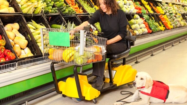 9 Rules to Know When Bringing Service Dogs into Grocery Stores 7 9 Rules to Know When Bringing Service Dogs into Grocery Stores - woman in wheelchair with guide dog ss1951959601