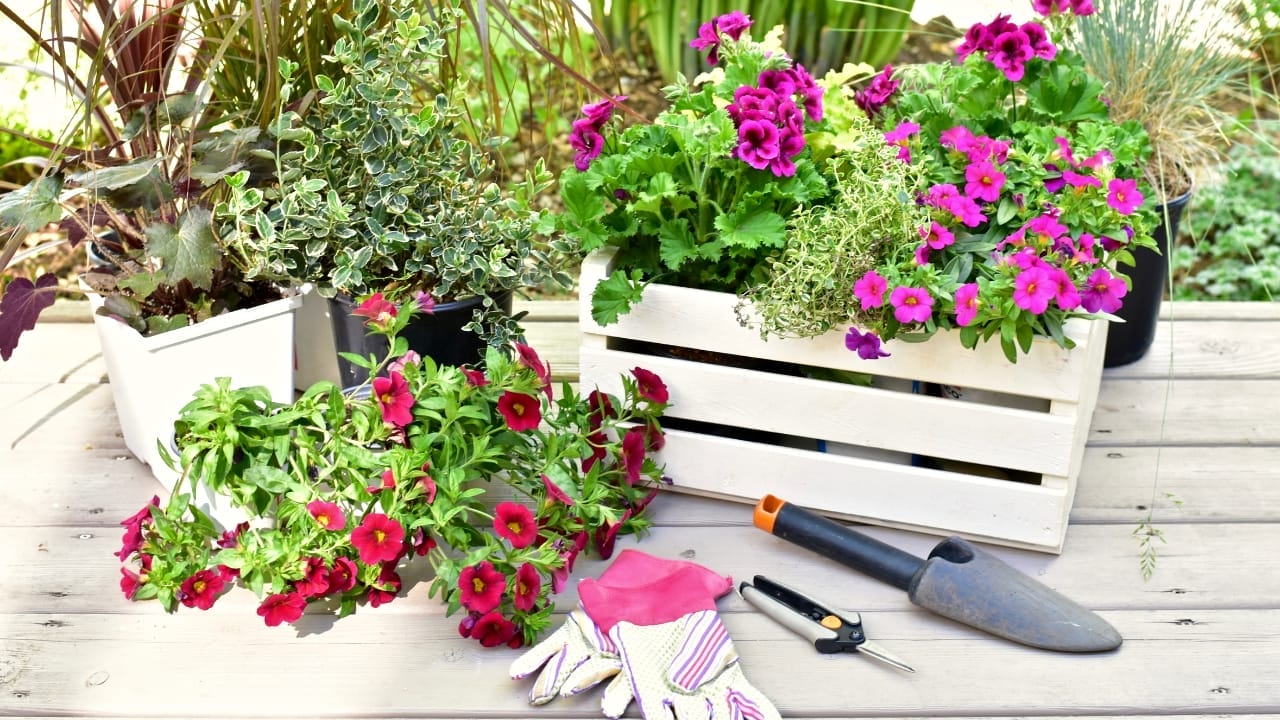 16 Unconventional Garden Containers to Spice Up Your Outdoor Space - wood crate planter ss1985130758