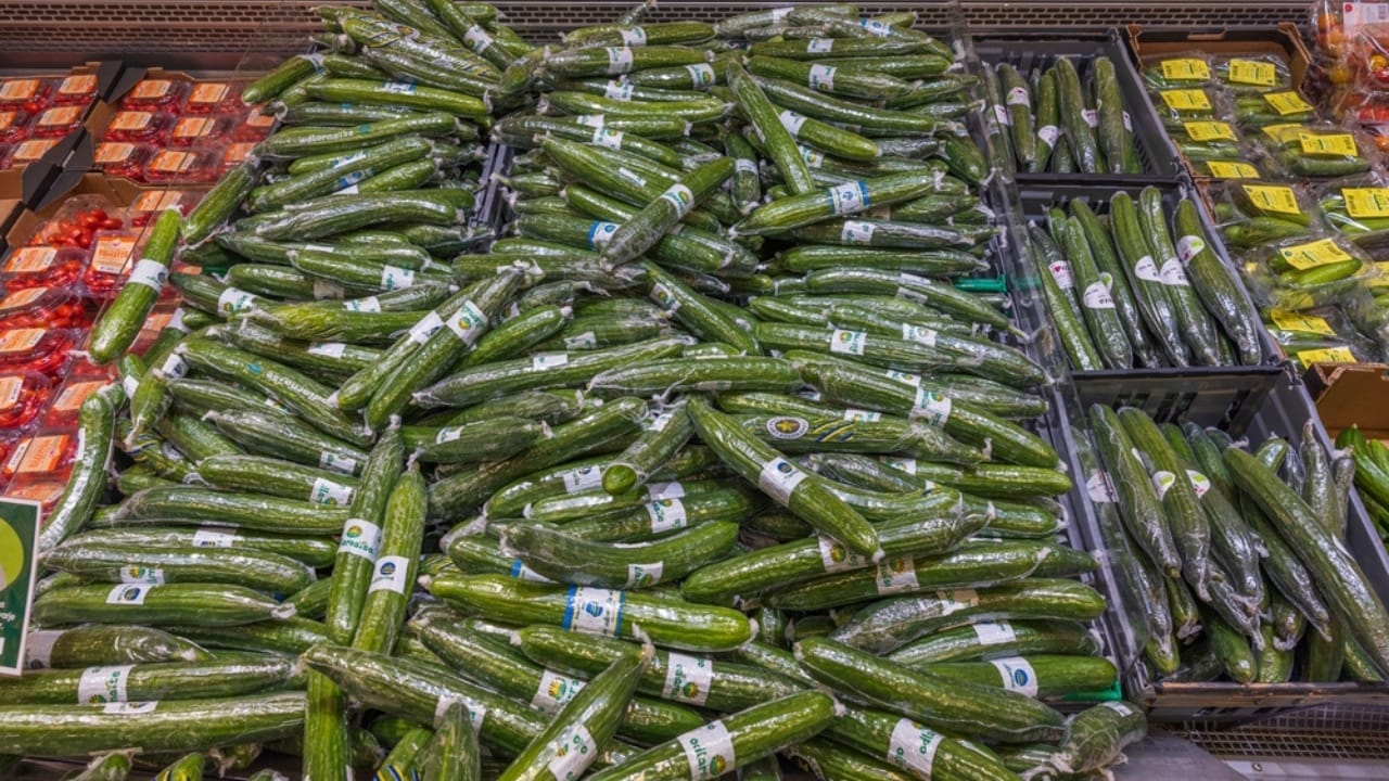 Why Cucumbers are Wrapped in Plastic—and Why it’s a Good Thing 5 Why Cucumbers are Wrapped in Plastic—and Why it’s a Good Thing - wrapped cucumbers ss2148868153