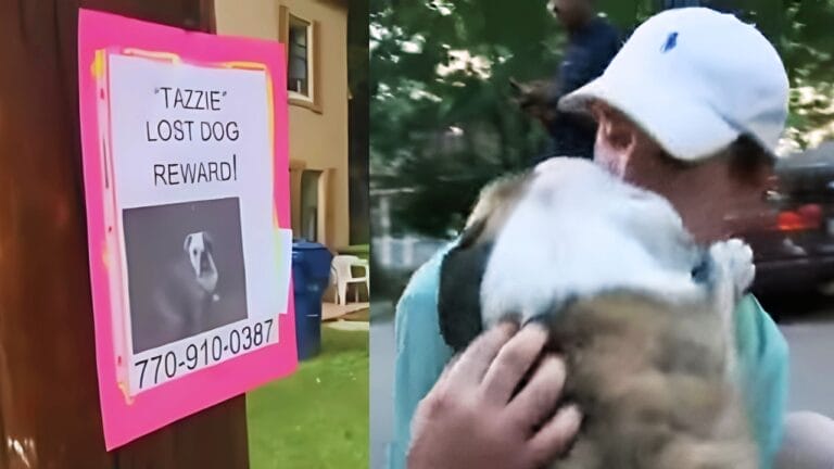 His Car Was Stolen With His Dog Inside! What the Community Did Next Will Restore Your Faith in Humanity 🐾 4 His Car Was Stolen With His Dog Inside! What the Community Did Next Will Restore Your Faith in Humanity 🐾 - 1