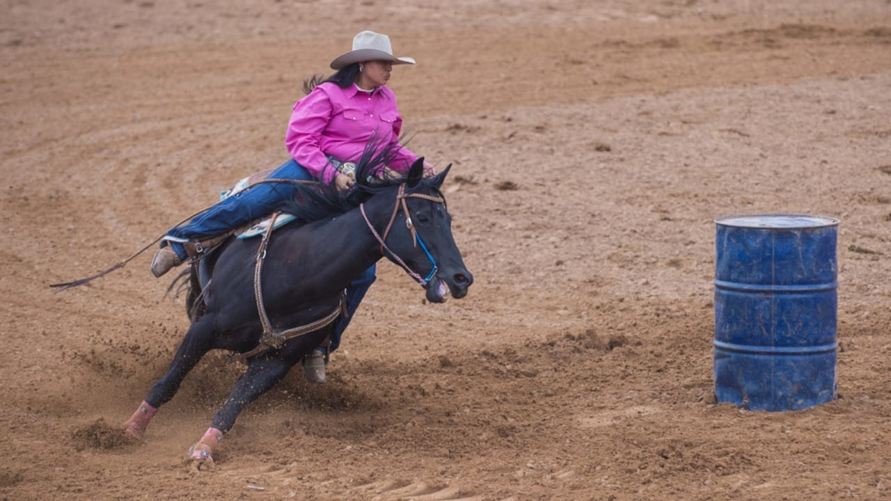 50+ Horse Terms & Slang Every Equestrian Should Know 14 50+ Horse Terms & Slang Every Equestrian Should Know - Barrel horse woman riding race dp31494675