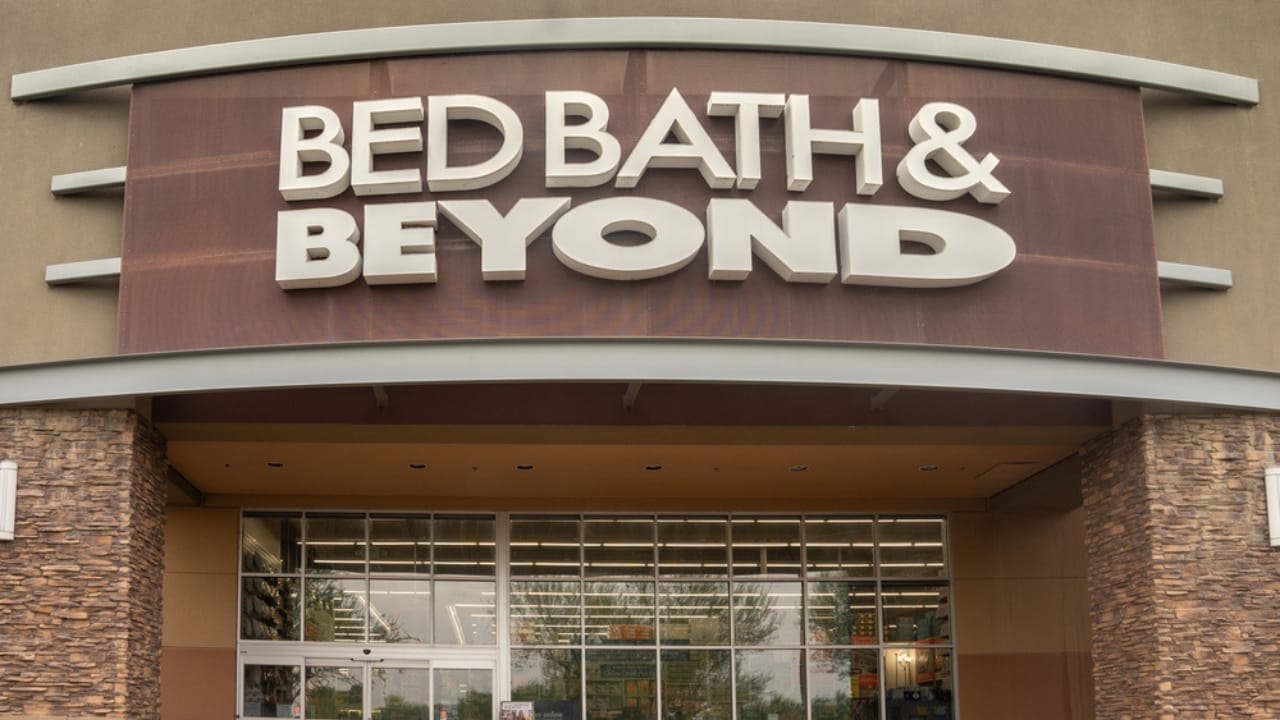 18 Stores Where Your Dog Gets VIP Treatment - Bed Bath and Beyond dp212951224