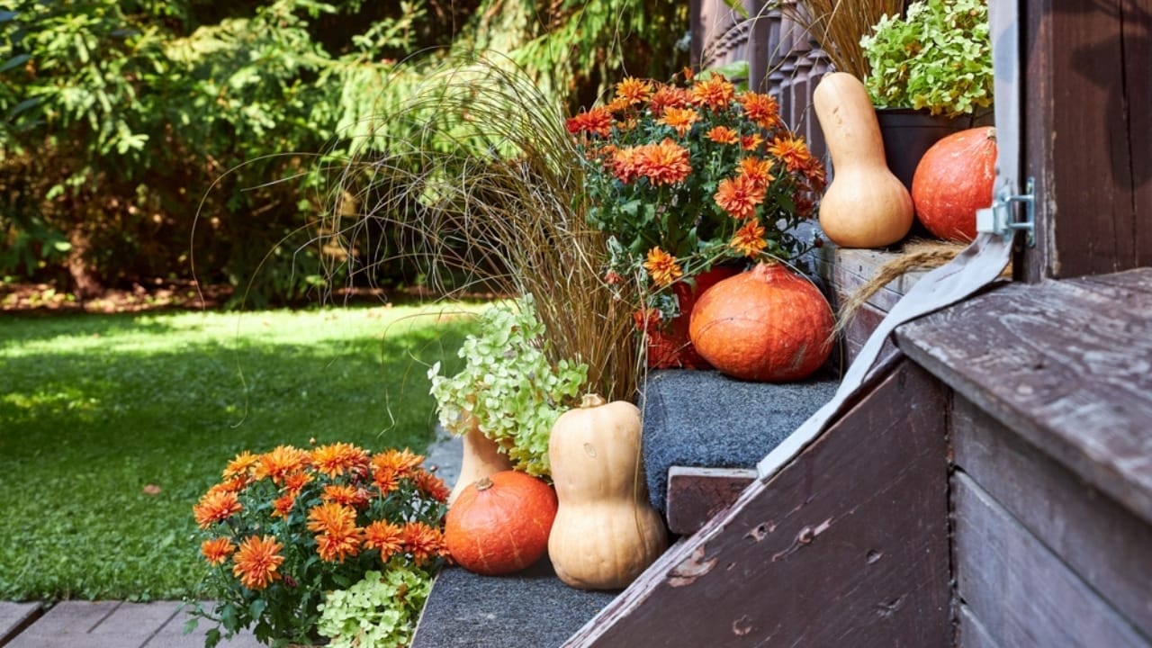 Front Yard Upgrades: 25 Simple Landscaping Ideas That Add Value - Fall Entryway Decoration ss2509834985