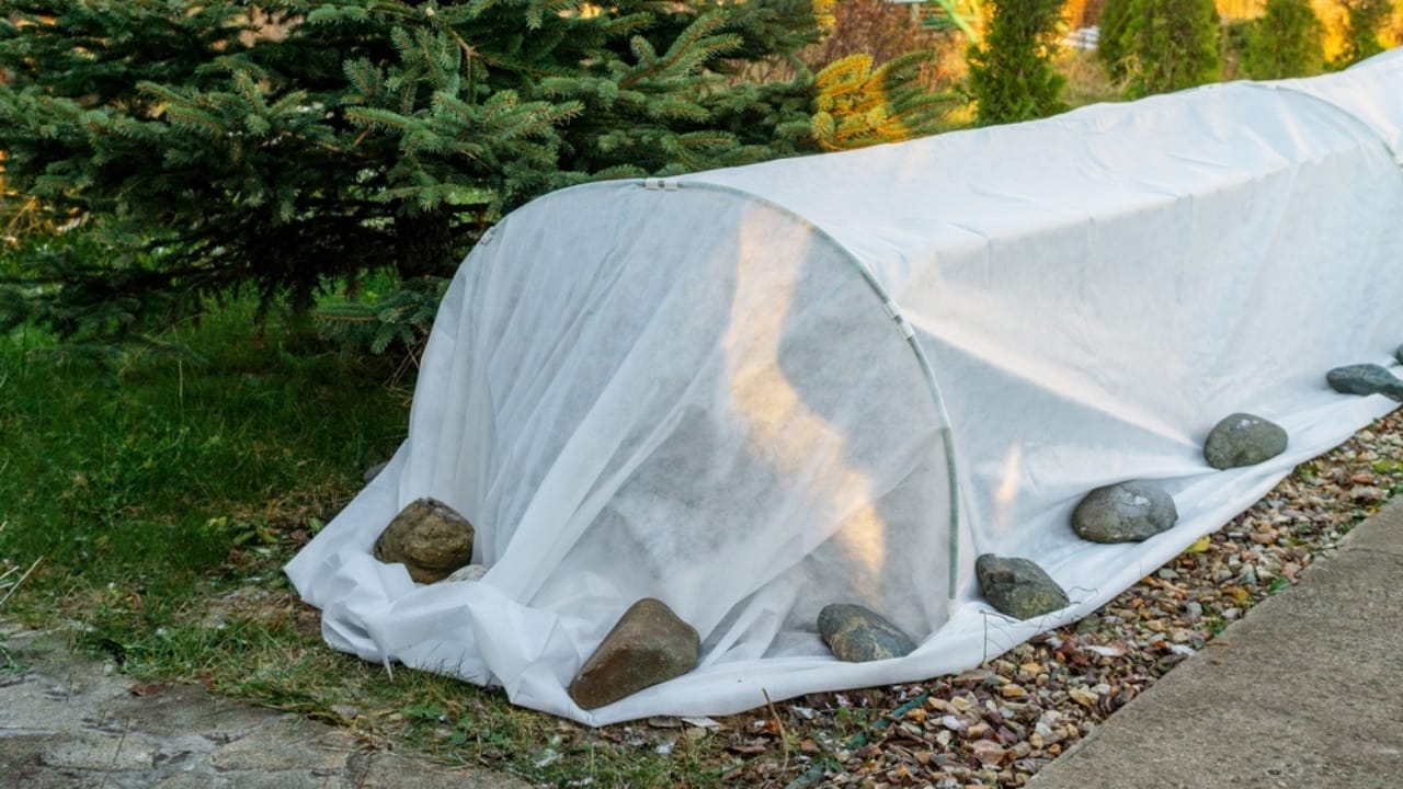 15 Essential Fall Gardening Tools & Resources for a Thriving Autumn Garden 14 15 Essential Fall Gardening Tools & Resources for a Thriving Autumn Garden - Frost Protection Cover ss2136903237