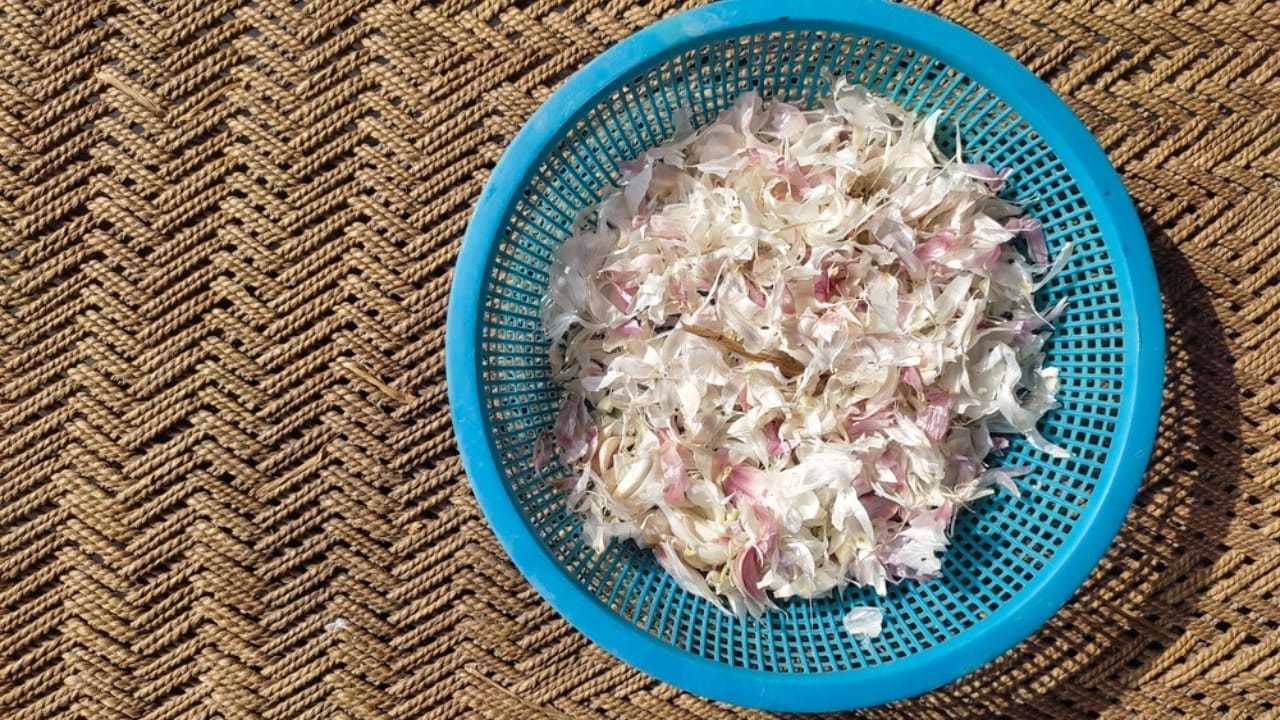 Improve Your Skin Naturally by Adding Garlic to Your Skincare Routine 5 Improve Your Skin Naturally by Adding Garlic to Your Skincare Routine - Garlic Skin ss2414213821