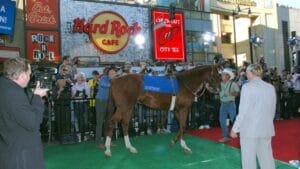 Saddle Up: 13 Best Horse Movies for Your Next Movie Night 1 Saddle Up: 13 Best Horse Movies for Your Next Movie Night - Horse used as Secretariat ss62341243