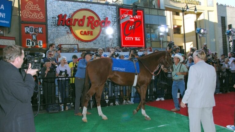 Saddle Up: 13 Best Horse Movies for Your Next Movie Night 3 Saddle Up: 13 Best Horse Movies for Your Next Movie Night - Horse used as Secretariat ss62341243