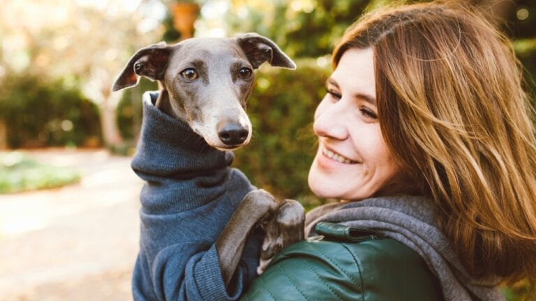 10 Charismatic Italian Dog Breeds That Will Steal Your Heart 2 10 Charismatic Italian Dog Breeds That Will Steal Your Heart - Italian Greyhound dog ss1580356129
