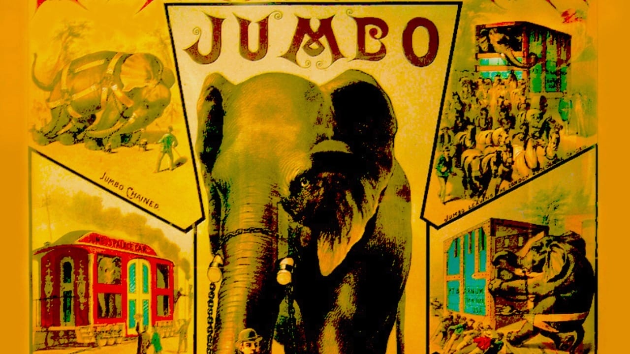 14 Wild Animals That Became Global Sensations 11 14 Wild Animals That Became Global Sensations - Jumbo African Bush Elephant wc