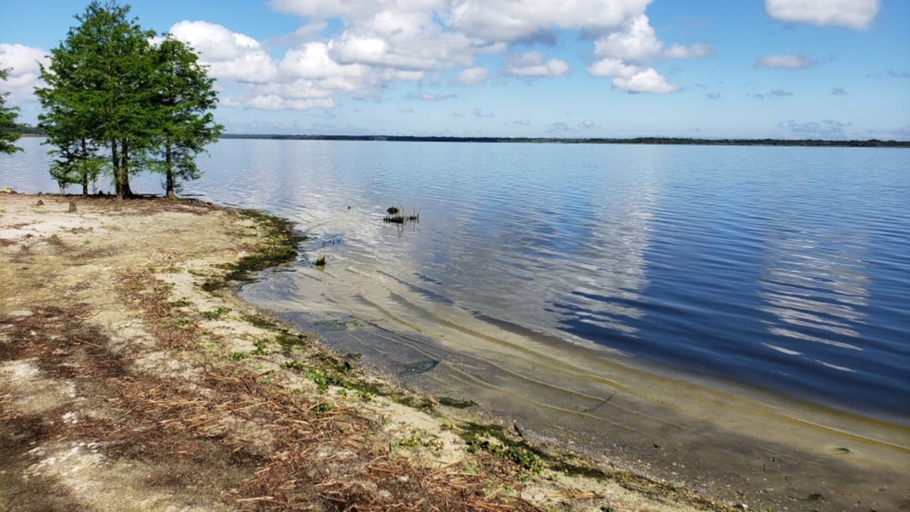 The 10 Most Alligator-Infested Lakes in the U.S. 9 The 10 Most Alligator-Infested Lakes in the U.S. - Lake Jesup Florida ss1386766850