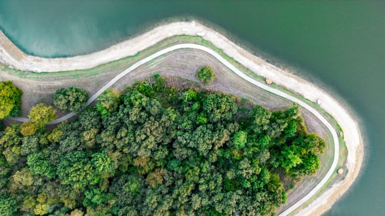 The 10 Most Alligator-Infested Lakes in the U.S. 10 The 10 Most Alligator-Infested Lakes in the U.S. -