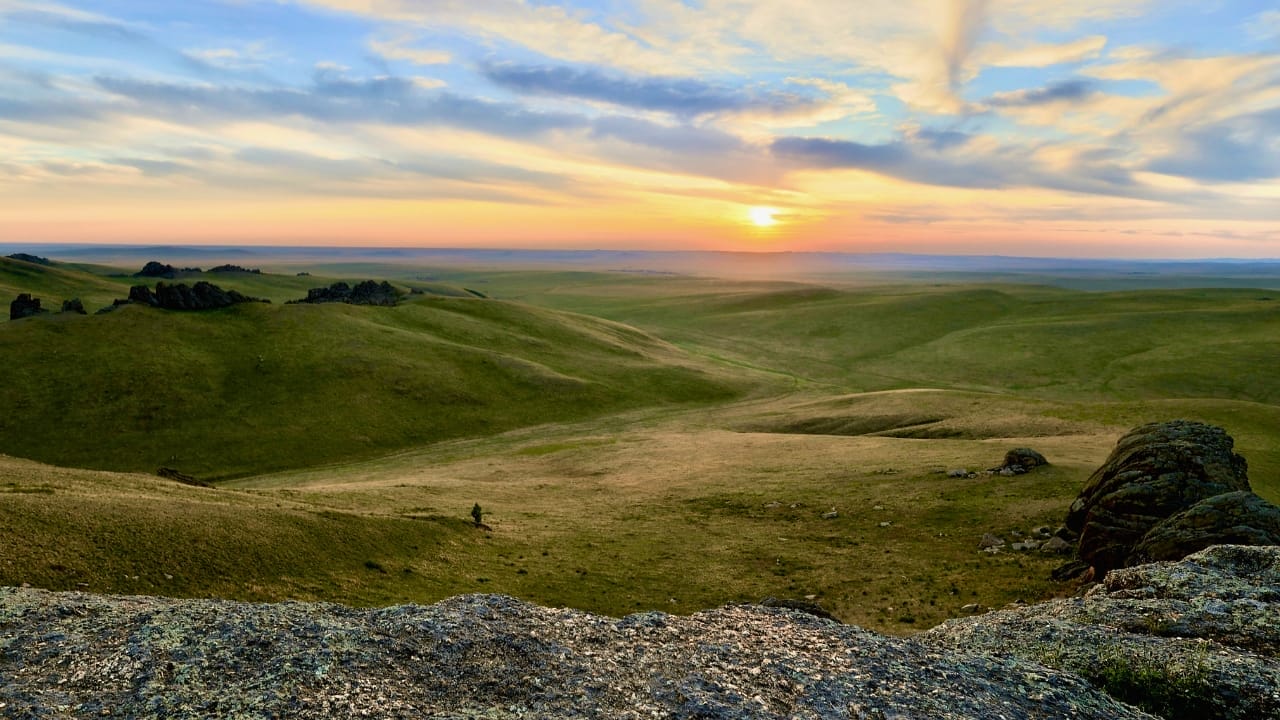 Study Traces the Taming of Modern Horses Back Thousands of Years 2 Study Traces the Taming of Modern Horses Back Thousands of Years - Landscape of Russian Dauria steppe ss2393113759