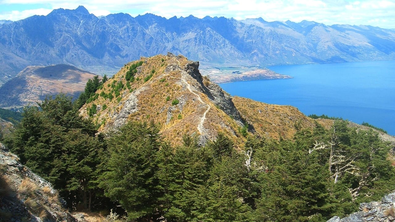 14 Ancient Forests That Were Here Long Before Homo sapiens 15 14 Ancient Forests That Were Here Long Before Homo sapiens - Nothofagus Forest New Zealand wc