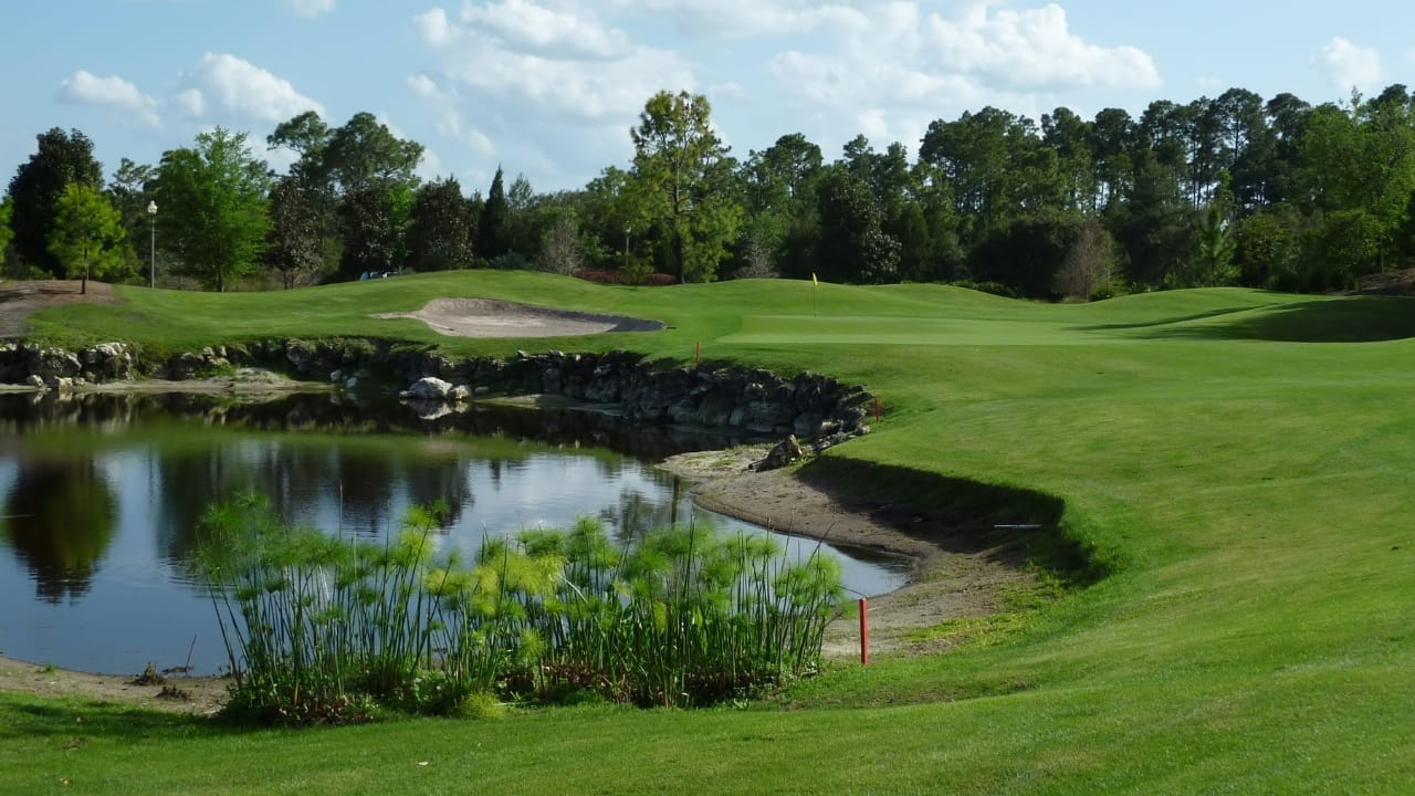 The 10 Most Alligator-Infested Lakes in the U.S. 3 The 10 Most Alligator-Infested Lakes in the U.S. - Orange Lake Florida wc