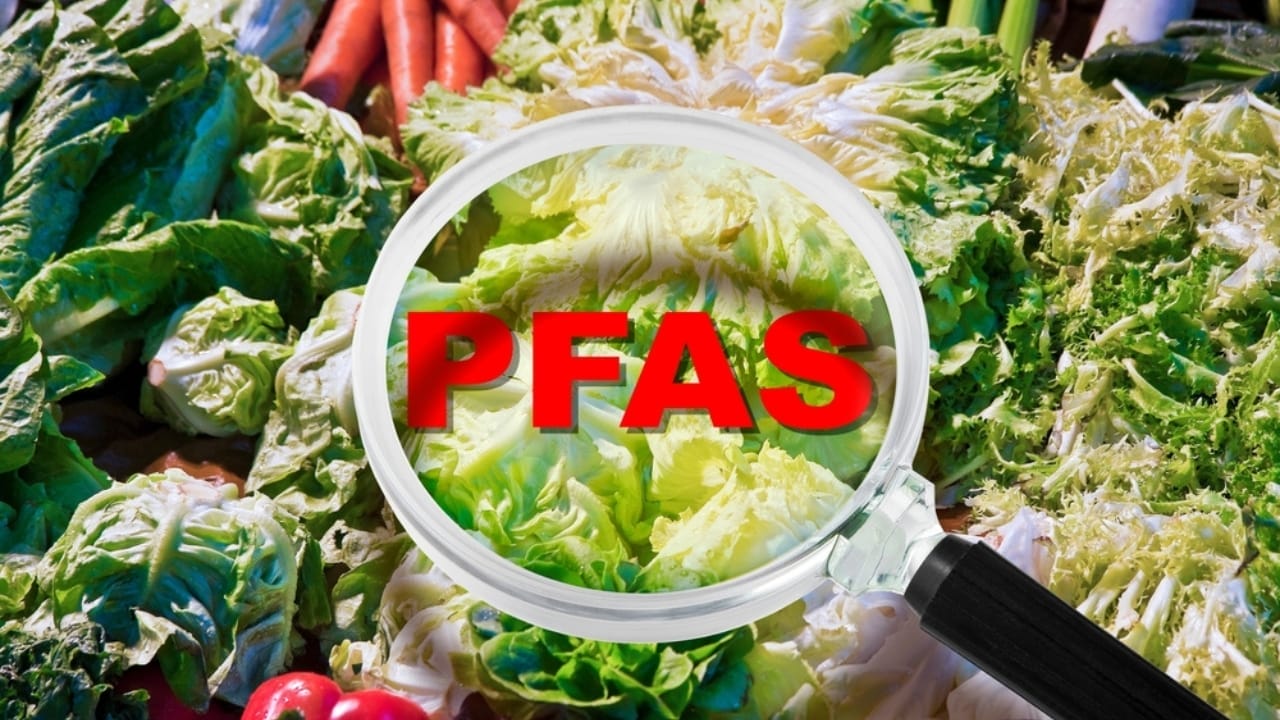 Fertilizer Firms Poison Farms—Now They Want Protection 4 Fertilizer Firms Poison Farms—Now They Want Protection - PFAS Contamination in crops ss2425885273